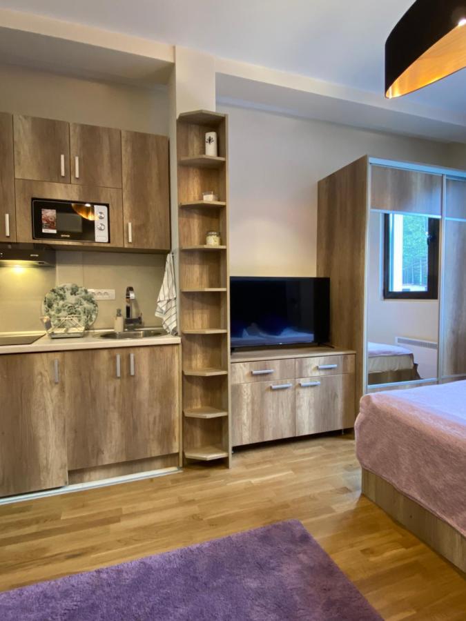 Sanstef Studio Zlatibor Luaran gambar